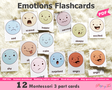 Load image into Gallery viewer, Emotions Flashcards