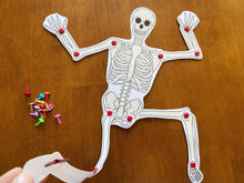 Load image into Gallery viewer, The Skeletal System Activity, Human Anatomy