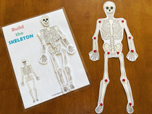 Load image into Gallery viewer, The Skeletal System Activity, Human Anatomy