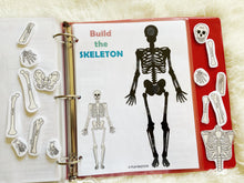Load image into Gallery viewer, The Skeletal System Activity, Human Anatomy