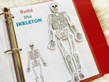 Load image into Gallery viewer, The Skeletal System Activity, Human Anatomy