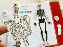 Load image into Gallery viewer, The Skeletal System Activity, Human Anatomy