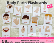 Load image into Gallery viewer, Body Parts Flashcards, Montessori 3-part cards