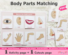 Load image into Gallery viewer, Body Parts Matching Activity