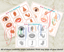 Load image into Gallery viewer, Body Parts Matching Activity