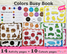 Load image into Gallery viewer, Colors Busy Book, Toddler Busy Book, Learning Binder, Quiet Book