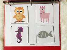 Load image into Gallery viewer, Colors and Shapes Matching Activity
