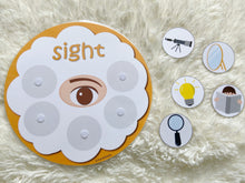 Load image into Gallery viewer, Five Senses Sorting Activity