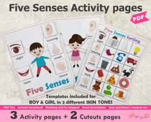 Load image into Gallery viewer, Five Senses Busy Book Activity