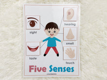 Load image into Gallery viewer, Five Senses Busy Book Activity