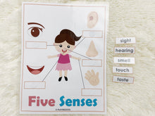 Load image into Gallery viewer, Five Senses Busy Book Activity