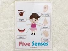 Load image into Gallery viewer, Five Senses Busy Book Activity