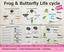 Load image into Gallery viewer, Frog and Butterfly Lifecycle Activities, Montessori 3 Part Cards