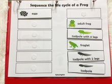 Load image into Gallery viewer, Frog and Butterfly Lifecycle Activities, Montessori 3 Part Cards