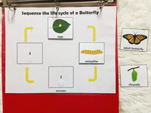Load image into Gallery viewer, Frog and Butterfly Lifecycle Activities, Montessori 3 Part Cards
