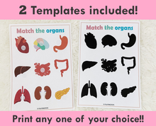 Load image into Gallery viewer, Body Organs Matching Activity