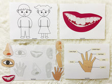 Load image into Gallery viewer, Body Parts Busy Book, Toddler Busy Book, Learning Binder, Quiet Book