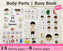 Load image into Gallery viewer, Body Parts Busy Book, Toddler Busy Book, Learning Binder, Quiet Book