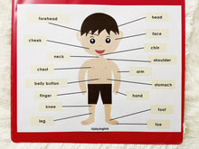 Load image into Gallery viewer, Body Parts Busy Book, Toddler Busy Book, Learning Binder, Quiet Book