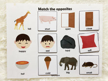 Load image into Gallery viewer, Opposites Matching Activity