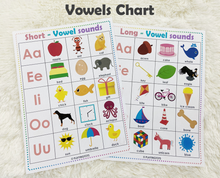 Load image into Gallery viewer, Short and Long Vowels Matching Activity