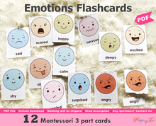 Load image into Gallery viewer, Emotions Flashcards
