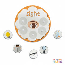 Load image into Gallery viewer, Five Senses Sorting Activity
