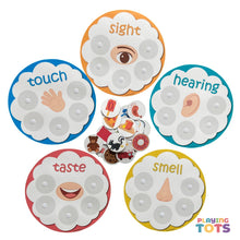 Load image into Gallery viewer, Five Senses Sorting Activity
