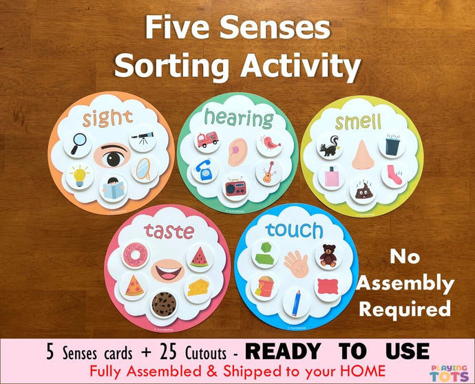 preschool five senses matching activity