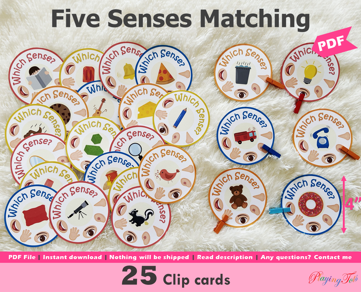 Five Senses Match and Clip Activity, 5 Senses Matching
