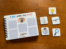 Load image into Gallery viewer, five senses preschool prek activity
