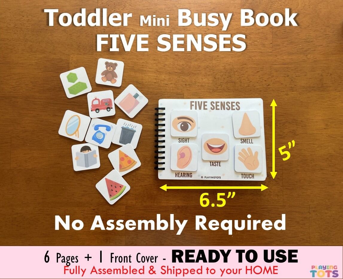 Five Senses, Toddler Mini Busy Book, Learning Binder, Quiet Book