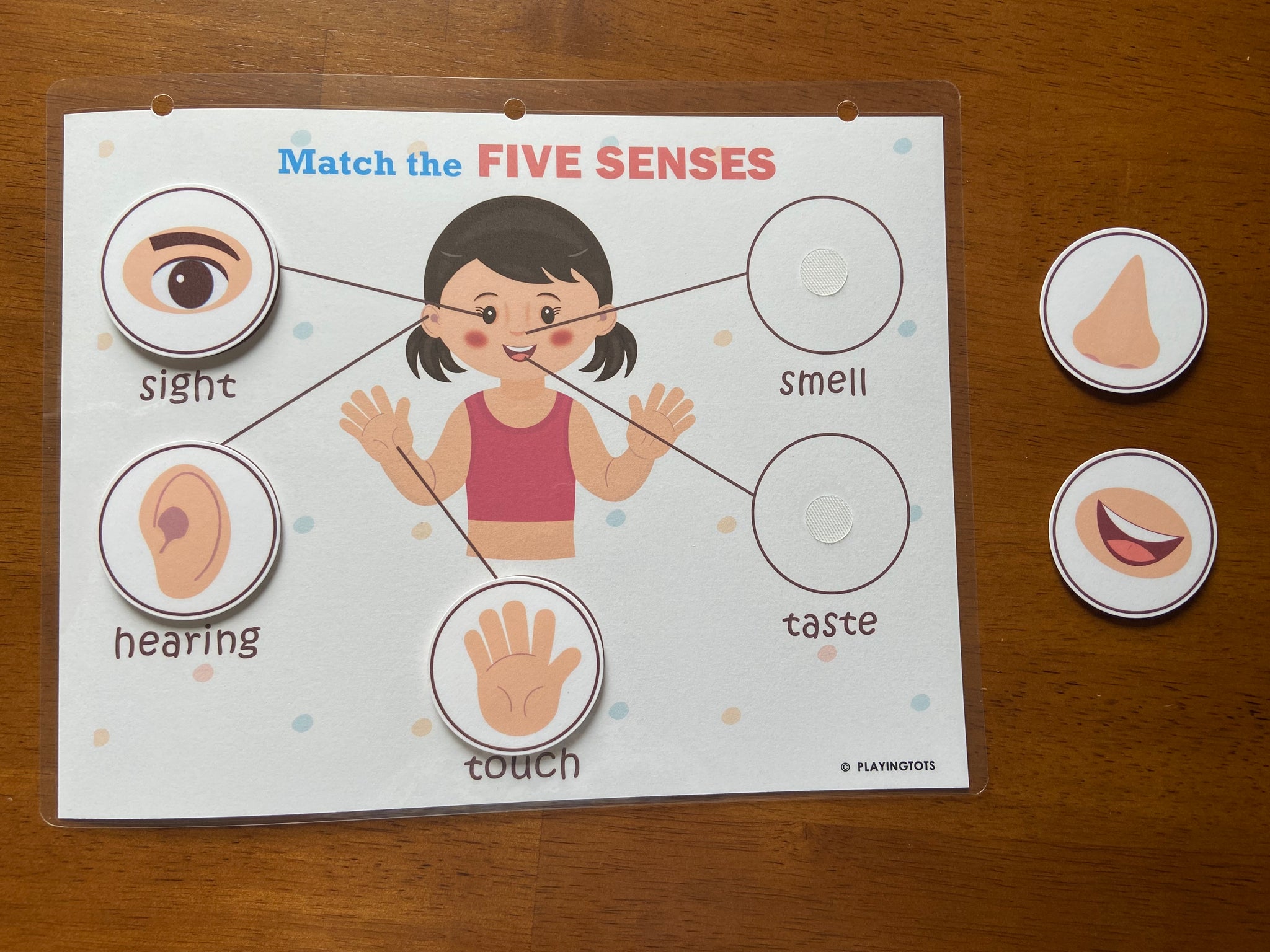Body Patterns Activity Body Parts Activity Pages – Playingtots