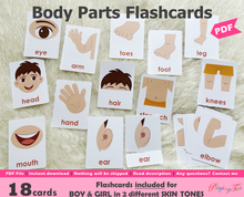 Load image into Gallery viewer, Body Parts Flashcards, Montessori 3-part cards

