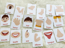 Load image into Gallery viewer, Body Parts Flashcards, Montessori 3-part cards
