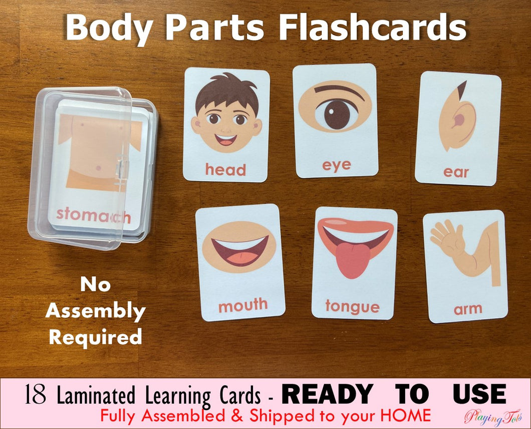 Laminated Body Parts Flashcards, Toddler Flashcards, Human Body, Montessori Flashcards, Learning Cards