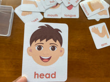 Load image into Gallery viewer, Laminated Body Parts Flashcards, Toddler Flashcards, Human Body, Montessori Flashcards, Learning Cards
