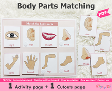 Load image into Gallery viewer, Body Parts Matching Activity
