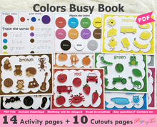 Load image into Gallery viewer, Colors Busy Book, Toddler Busy Book, Learning Binder, Quiet Book
