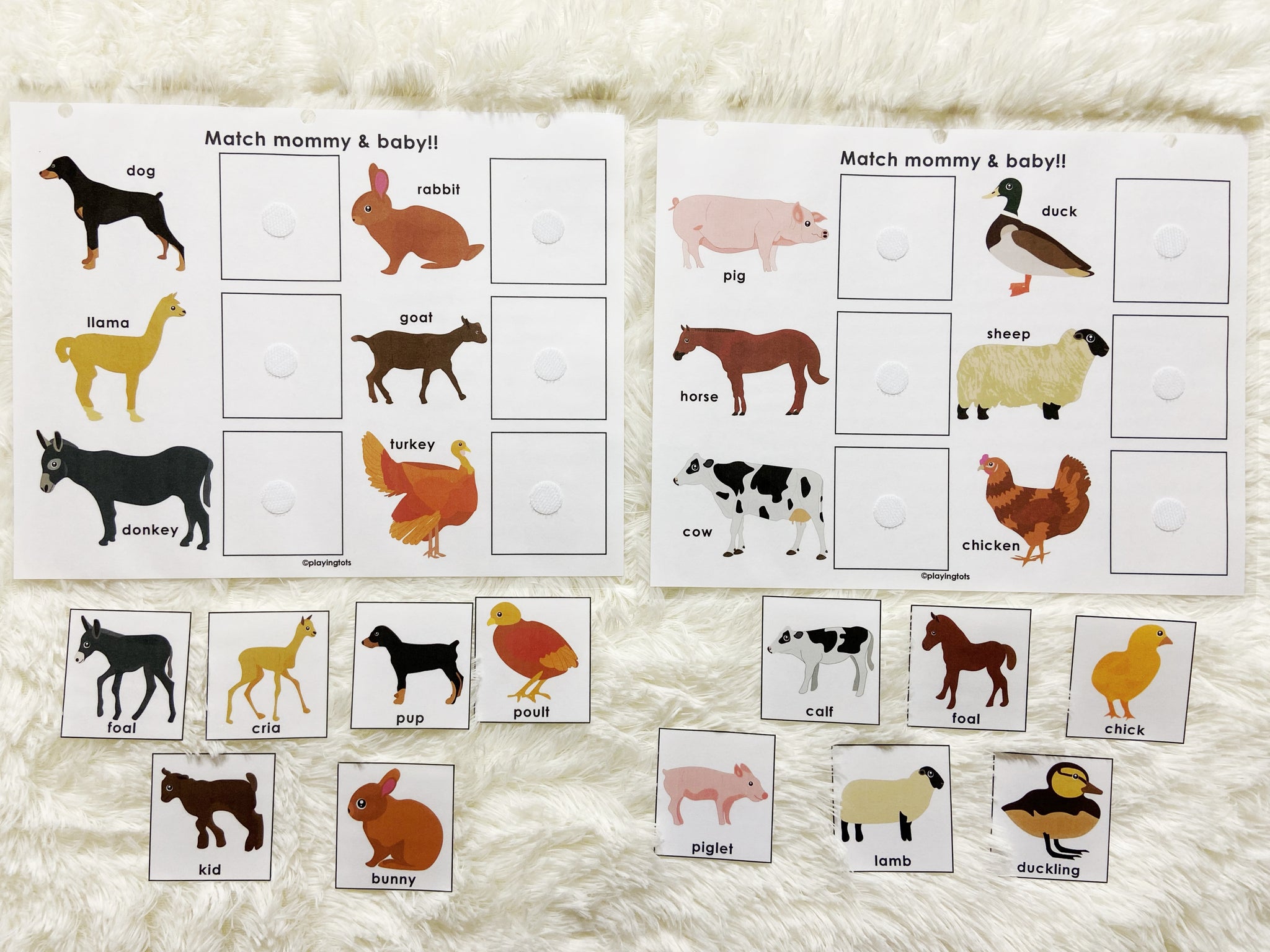 Farm Animals And Their Babies
