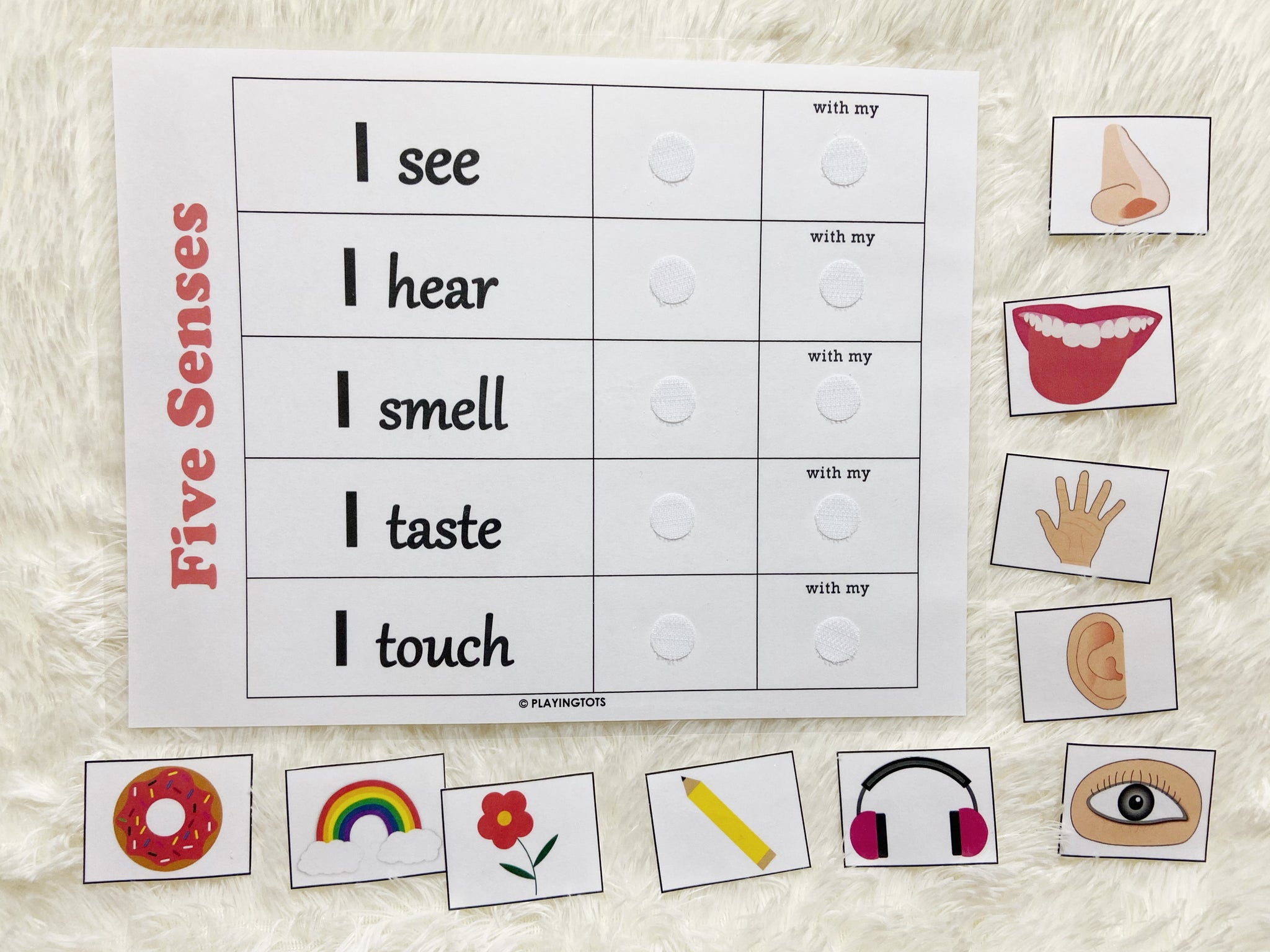 Five Senses Sorting Worksheet