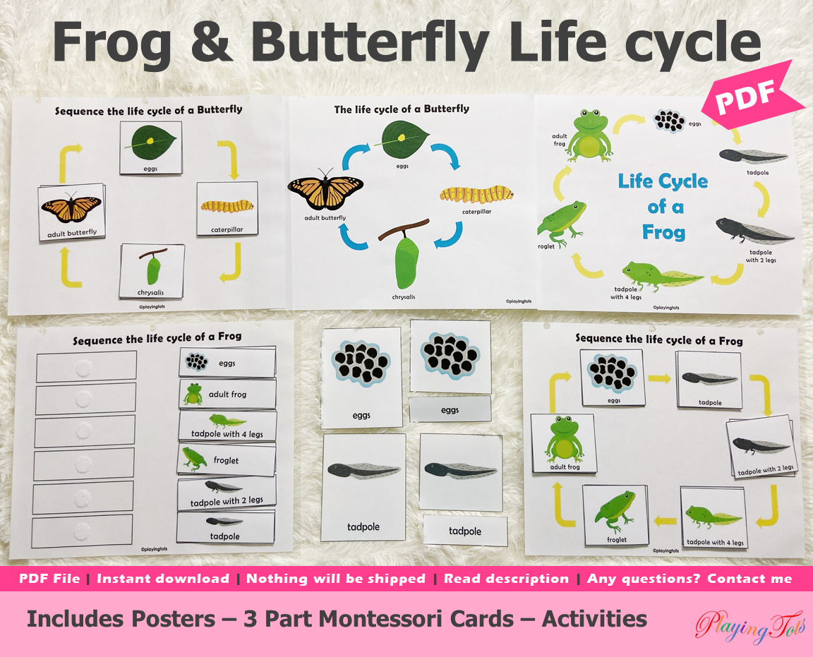 Frog and Butterfly Lifecycle Activities, Montessori 3 Part Cards