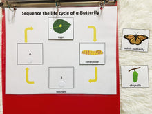 Load image into Gallery viewer, Frog and Butterfly Lifecycle Activities, Montessori 3 Part Cards
