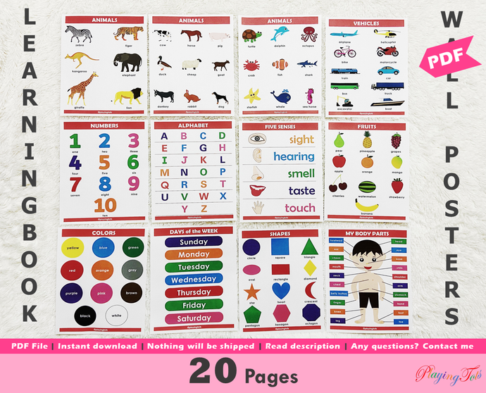 Learning Charts/ Educational Wall Posters/ First Picture Books ...