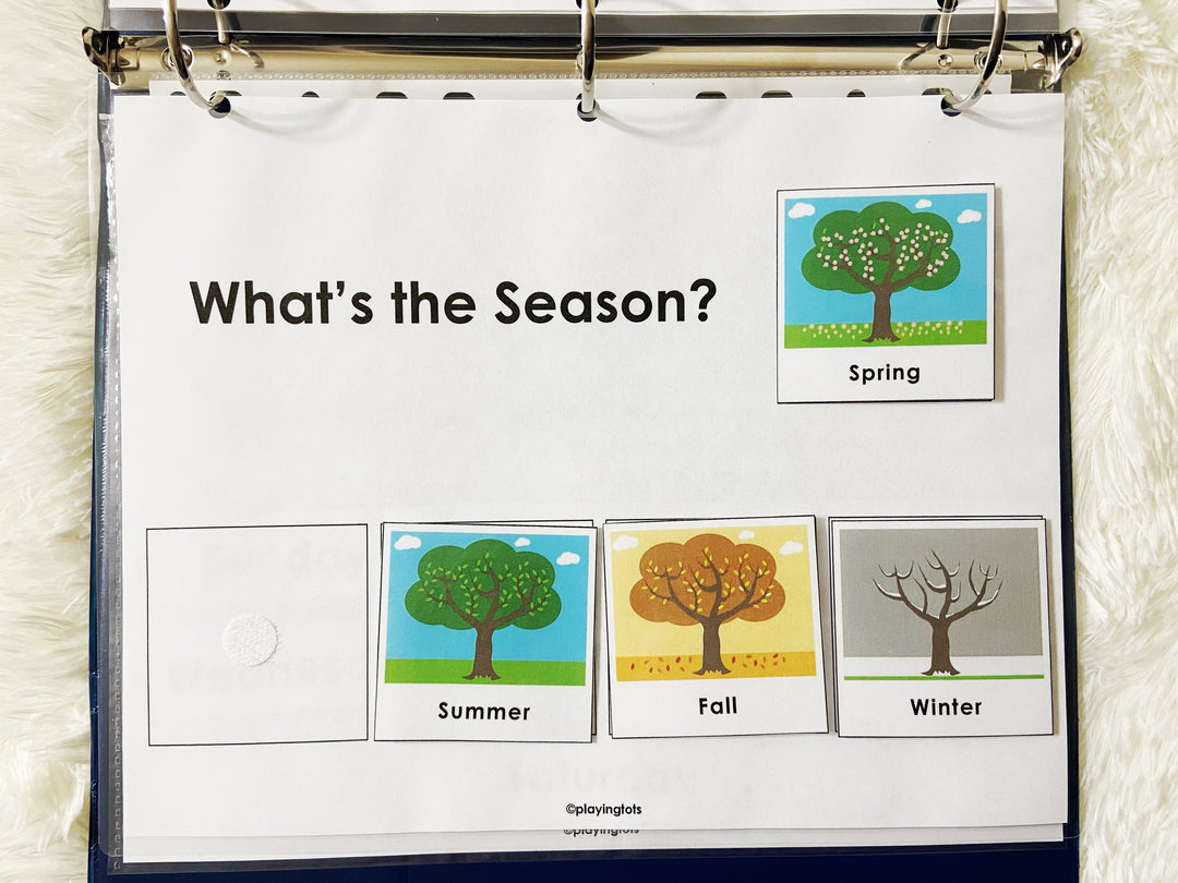 Seasons, Weather, Days of the Week Activity – Playingtots