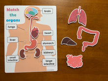 Load image into Gallery viewer, Body Organs and Brain Anatomy Matching Activity Mats for Kids, Learning Mats, Human Anatomy Activity
