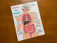 Load image into Gallery viewer, Body Organs and Brain Anatomy Matching Activity Mats for Kids, Learning Mats, Human Anatomy Activity
