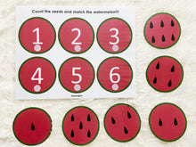 Load image into Gallery viewer, Watermelon Seeds Counting Activity
