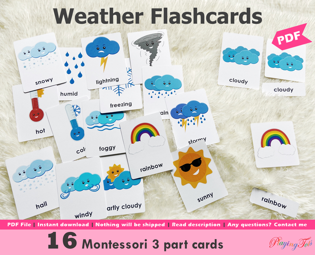 Weather Flashcards, Montessori 3 Part Cards, Montessori Flash cards